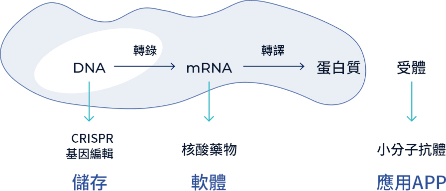 眺望“可程式設計藥物”的未來：如果疾病細胞可以“一鍵重啟”