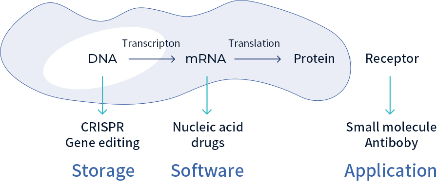 Envisioning the Future of “Programmable Drugs”: What If Diseased Cells Could Be “Rebooted” with One Click?