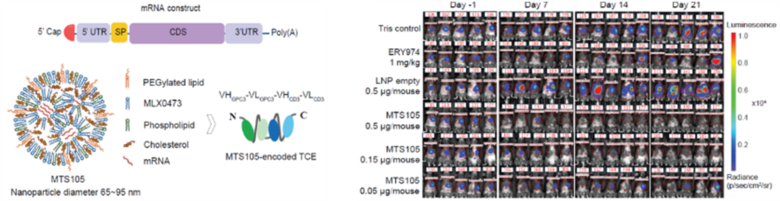 Breakthrough Progress: METiS TechBio Publishes Consecutive Research Findings in Nature Communications and the Journal for ImmunoTherapy of Cancer(图2)