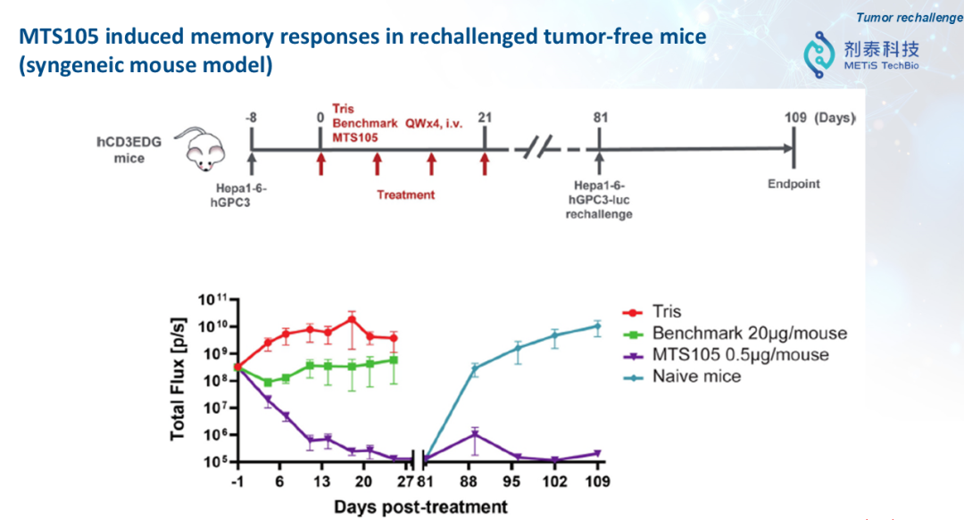 剂泰科技CSO徐伟博士：MTS105有望成为全球首款实体瘤治疗的mRNA编码TCE疗法(图5)